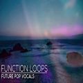 عکس دانلود پکیج لوپ سمپل Function Loops - Future Pop Vocals (Wav/Midi/Sylenth)