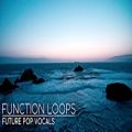 عکس FUTURE POP VOCALS - Vocal Sample Pack ,