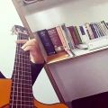 عکس ملودی گیتار اهنگ از کرخه تا راین