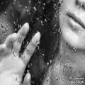 عکس باران بوسه های تو، آرشید، خوانش شیدا حبیبی