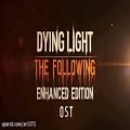 عکس Dying Light the following_ آهنگ زیبا Stealth