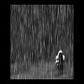 عکس آهنگ بی کلام در باران . آهنگساز: حمید طاهرآبادی