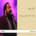 عکس دلیل بودن - آلبوم دیگه مشکی نمی پوشم! - رضا صادقی