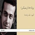 عکس پروانه ها (ریمیکس) - آلبوم تک ترانه ها - محسن چاوشی