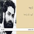 عکس ناردونه - آلبوم تک ترانه ها - علی زند وکیلی