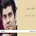 عکس بانوی پارسی - آلبوم تک ترانه ها - سالار عقیلی