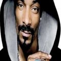 عکس Snoop Dogg - Smoke Weed Everyday