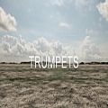 عکس بررسی وی اس تی ترومپت Lyrebird Sounds Trumpets