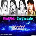 عکس blackpink see you later همراه با زیرنویس فارسی