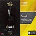 عکس Amirabbas Golab - Gahvareh ( امیرعباس گلاب - گهواره )