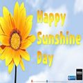 عکس Happy Sunshine Day (Royalty Free Music)
