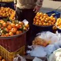 عکس آواز خواندن گیله مرد پرتقال فروش در بازار