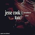 عکس دو نوازی آهنگ Rain - jesse cook