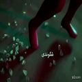 عکس ویدئو زیبای اهنگ ریشه از حصین