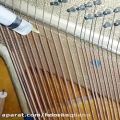 عکس شستشو جرمگیری و احیای سیمهای پیانو توسط استاد مانی کوشا ۰۹۱۲۵۶۳۳۸۹۵
