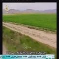 عکس علی یگانه خواننده نوجوان کرمانج در شبکه خراسان شمالی