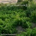 عکس سرود ویژه شهرستان نیشابور
