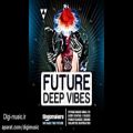 عکس دانلود لوپ سمپل رایگان Singomakers - Future Deep Vibes (Wav/Midi)