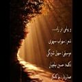 عکس و پیامی در راه، با دکلمه حسین نیلچیان و شعری از سهراب سپهری