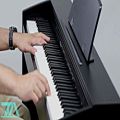 عکس معرفی پیانو دیجیتال Casio Privia PX-770