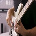 عکس Chris Chaney Demos The Fender American Elite Jazz Precision Basses