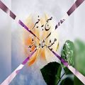 عکس دیدنی ترین کلیپ های کانال عیدالزهرا عید الزهرا فرحة الزهراء فرحةالزهراء آپارات