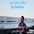 عکس اجرای زنده خواننده پاپ احمدرضافریدونی لب ساحل