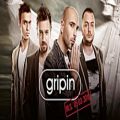 عکس gripin - Koca Çınar (Official Audio)