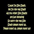 عکس Eminem - The Real Slim Shady (Lyrics) [HD