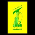 عکس ایا ابا عبدالله، نحن امت حزب الله