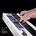 عکس پیانوی دیجیتال DEXIBELL VIVO S9