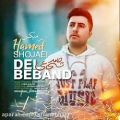 عکس Hamed Shojaei - Del Beband (Remix) ( حامد شجاعی - دل ببند (ریمیکس) )