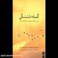 عکس قطعه طلوع تاریک.اثر محسن غلامی.همنوازی نی و کمانچه