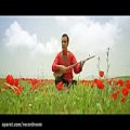 عکس موزیک ویدیو شاد و ریتمیک فرواگ پسر مهران مدیری به نام گل لاله لاله