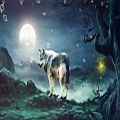 عکس موزیک آرامبخش - گرگ و ماه epic music _the wolf and the moon
