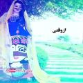 عکس موزیک شاد بندری - مثل غنچه جونی | Music Shad Bandari Video Official