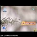 عکس آهنگ زندگی ساده با صدای بابک قدمایی_با تصاویری از زمستان زیبای همدان