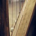 عکس Berlin Symphonic Harps - Trailer