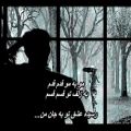 عکس Reza Bahram - Moo Be Moo (with lyrics)
