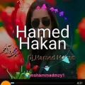 عکس موزیک ویدیو به یاد حامد