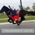 عکس حرکت نمایشی دختر بچه با اسب