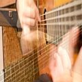 عکس Loop Player - Flamenco Guitar Lessons Samples Database