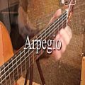 عکس Arpegio - Flamenco Guitar Lessons Online School - Free