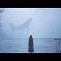 عکس موسیقی والiday - Whale (Video of Pstereo)