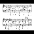 عکس Jean Sibelius - The Spruce قطعۀ زیبا و دلنواز پیانو | ژان سیبلیوس - صنوبر