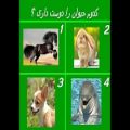 عکس نظرسنجی::کدوم حیوون رو دوس داری؟؟؟