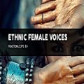 عکس دموی مجموعه لوپ Function Loops Ethnic Female Voices
