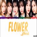 عکس جی فرند آهنگ ژاپنی جدید FLOWER از دخترای GFRIEND جی فرند