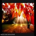 عکس دکلمه پاییز با صدای بانو ستاره