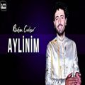 عکس آهنگ آذربایجانی Rövşən Civişov - Aylinim